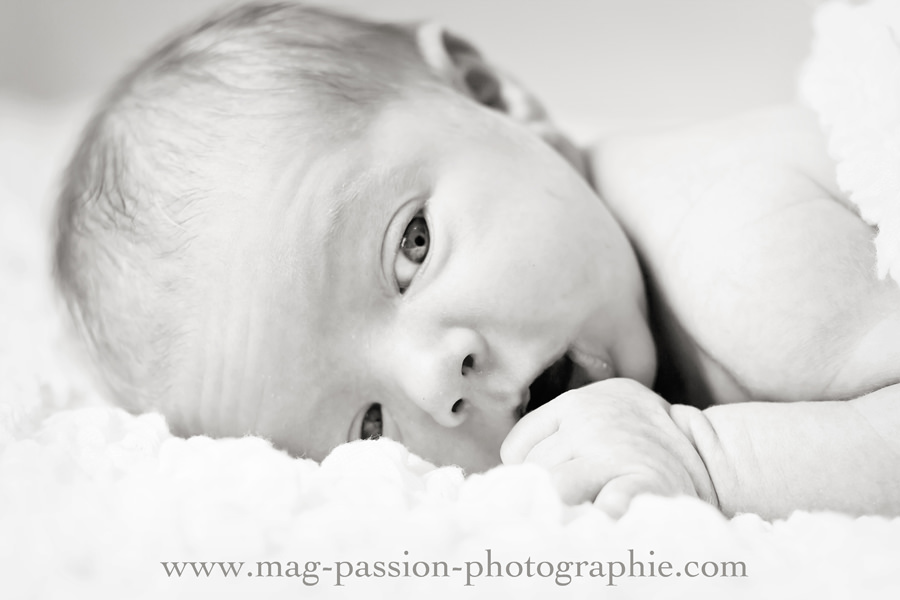 IMG_7802 as Smart Object-1